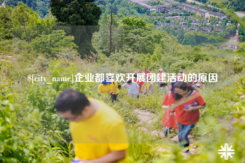 阿勒泰企业都喜欢开展团建活动的原因